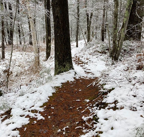 hiking trails