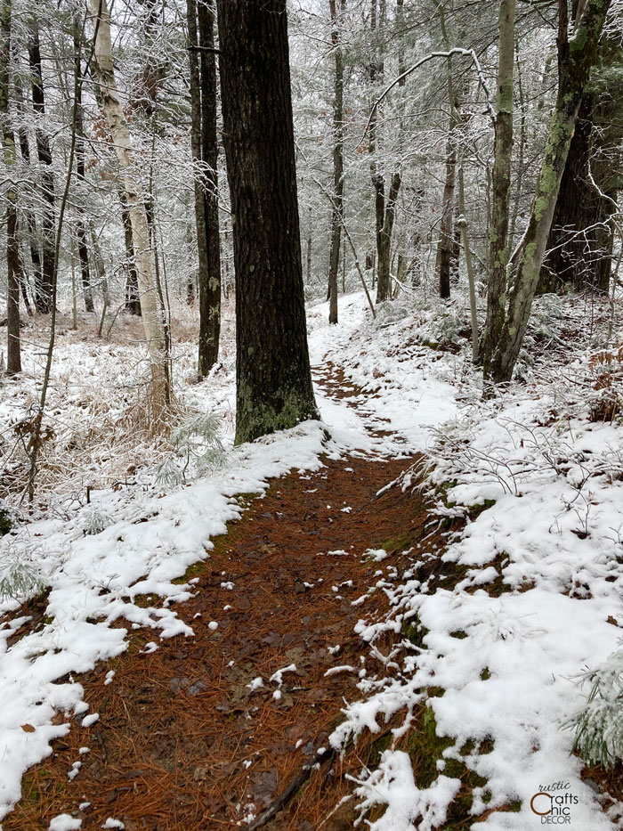 hiking trail through the woods