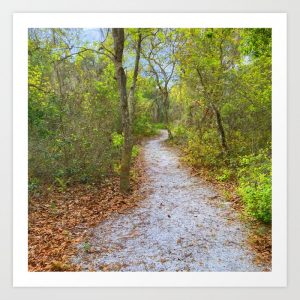 woodland path print
