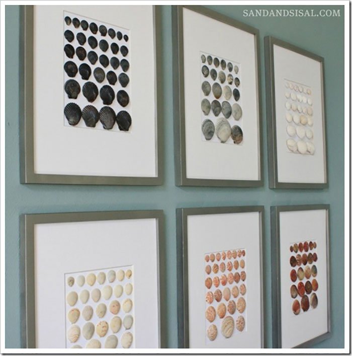 diy framed shell art