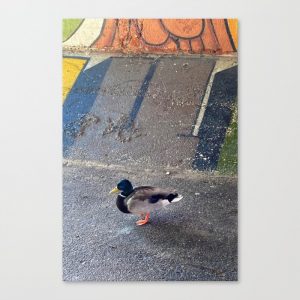 city duck canvas
