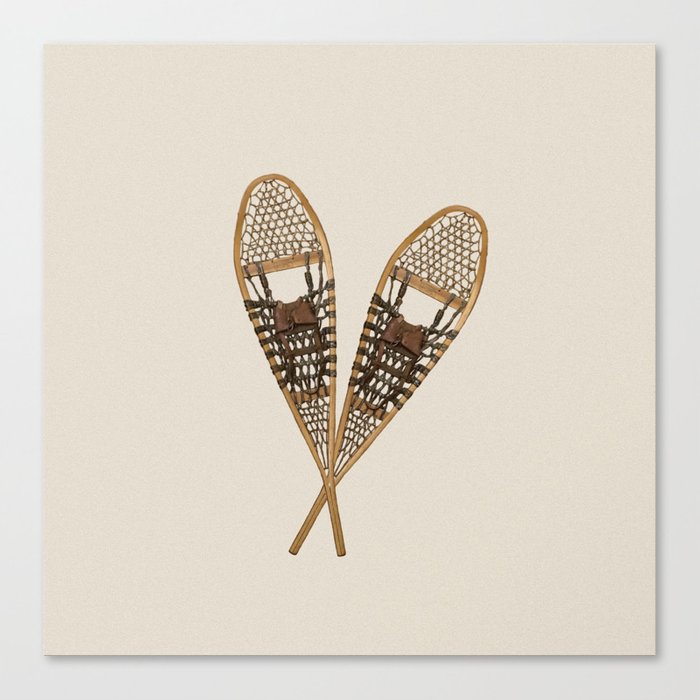 snowshoes canvas