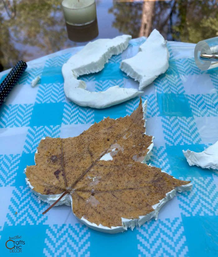 clay leaf cutout