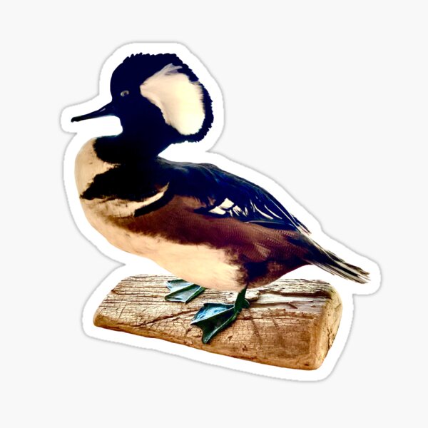 duck sticker