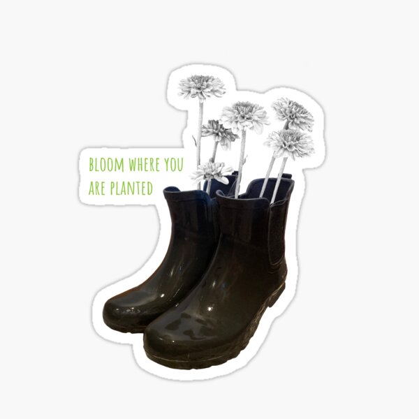 rainboot planter sticker