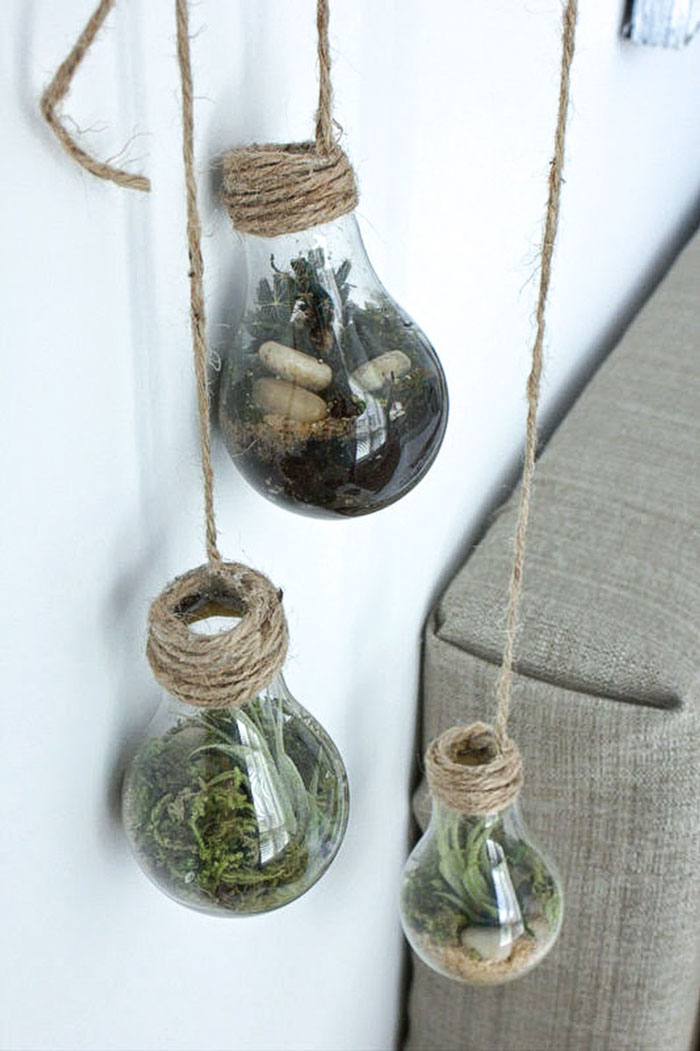 diy light bulb terranium craft