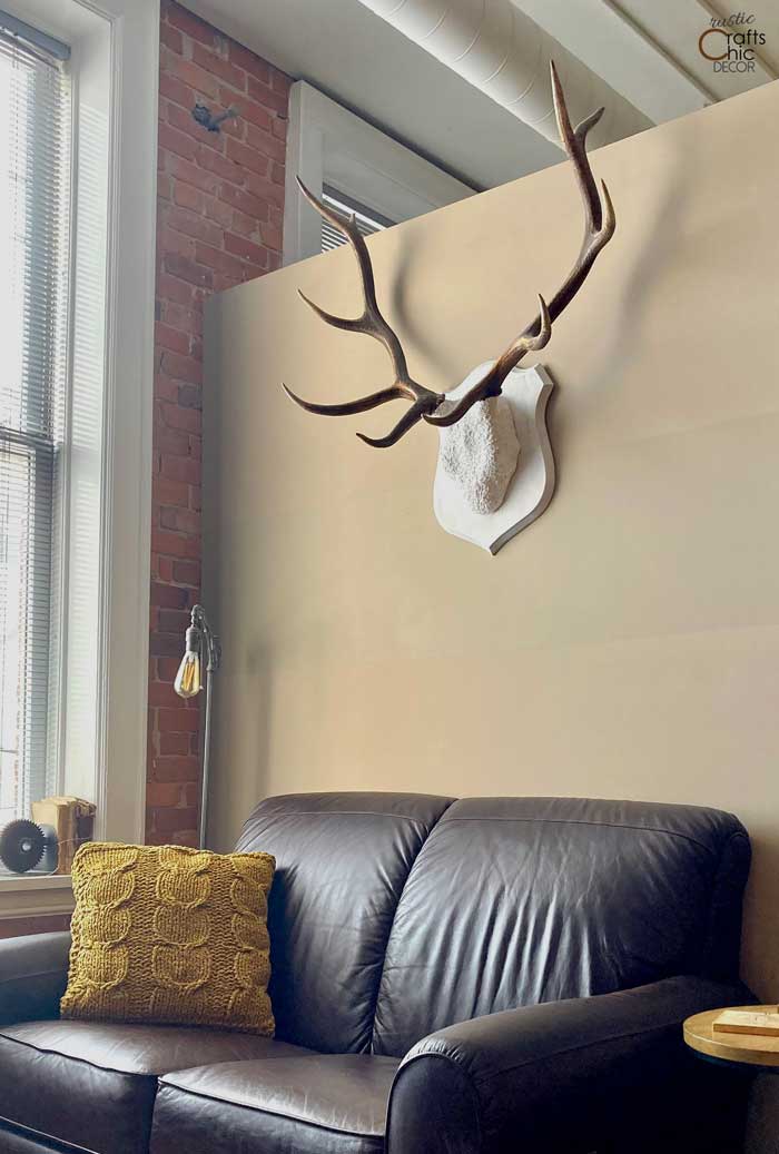 antler mount makeover