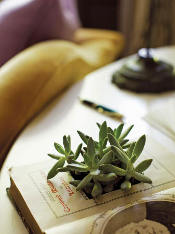 diy vintage book planter