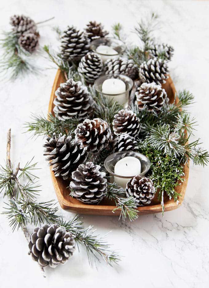 pine cone display