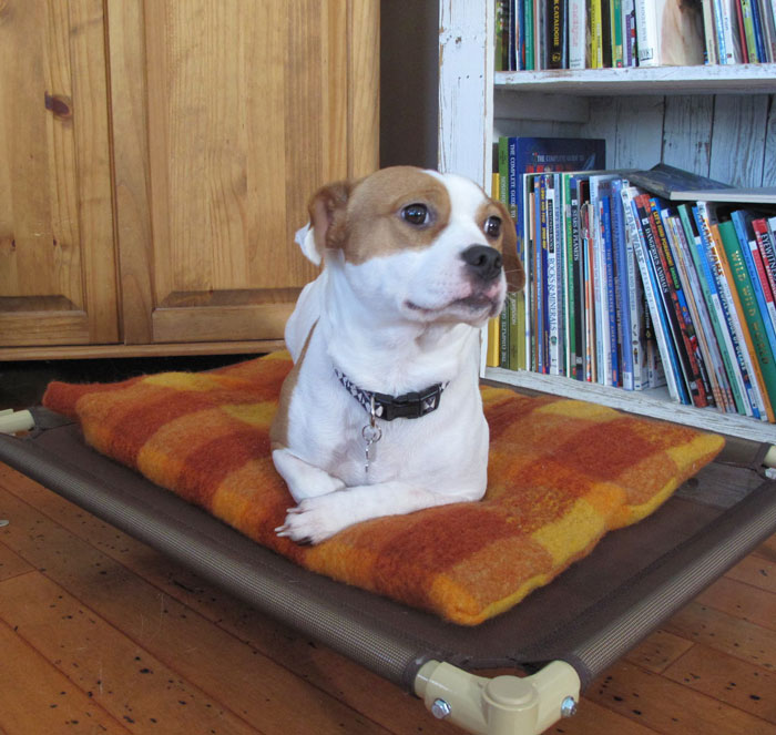 upcycled sweater dog bed