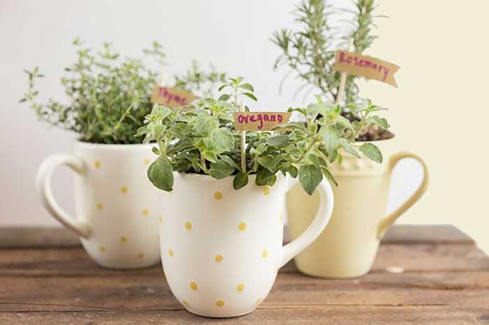 herb garden container