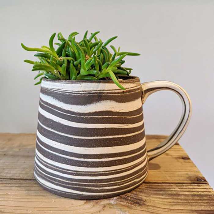 How to Make Hanging Wall Planters from Coffee Cups