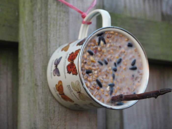 diy bird feeder mug