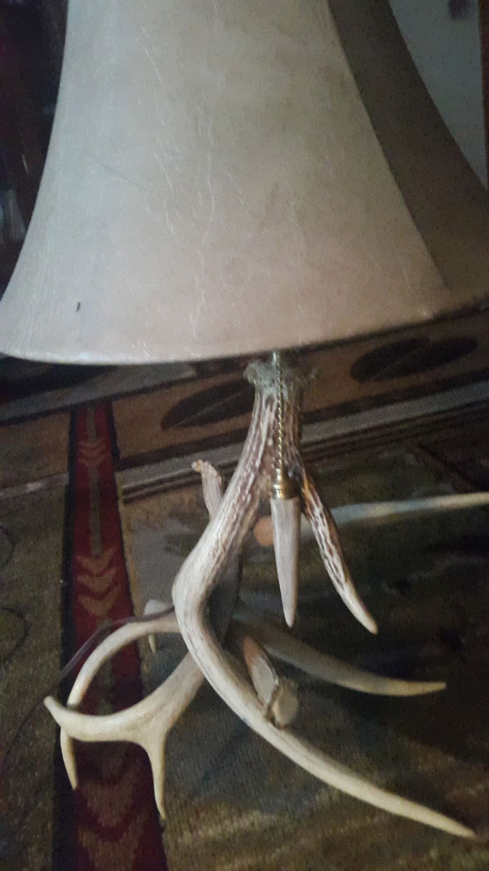 diy antler lamp