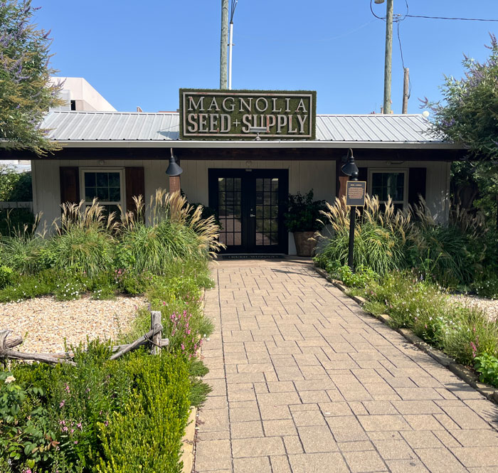 magnolia seed storefront