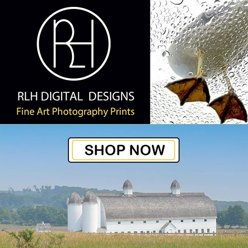 rlh digital designs shop